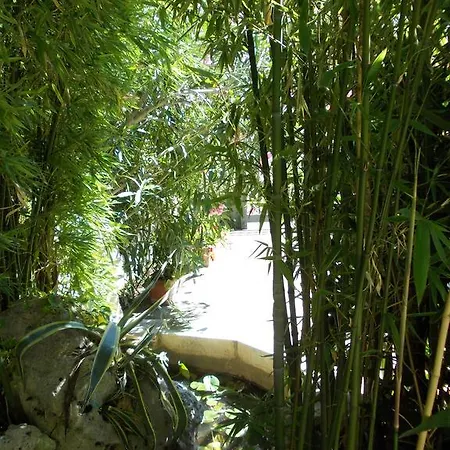 Il Bambu Отель типа 