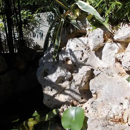 Il Bambu Отель типа 