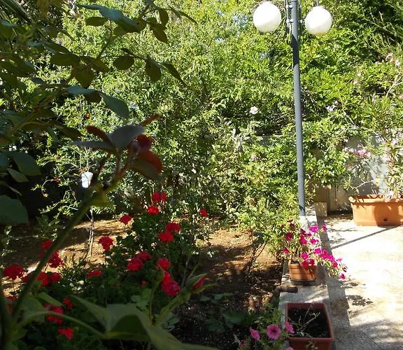 Il Bambu Bed and breakfast Putignano