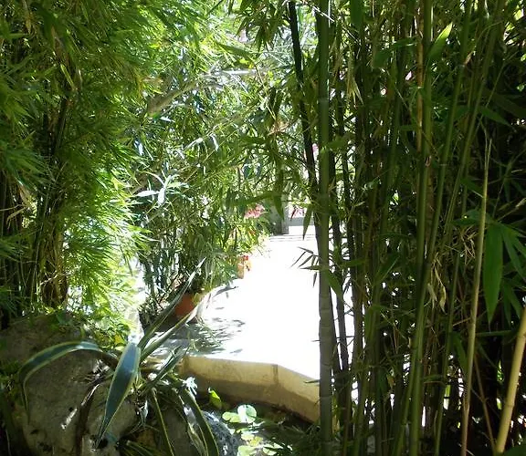 Il Bambu Bed and breakfast 3*