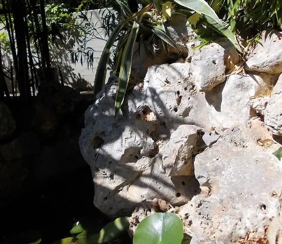 Il Bambu ベッド・アンド・ブレックファスト